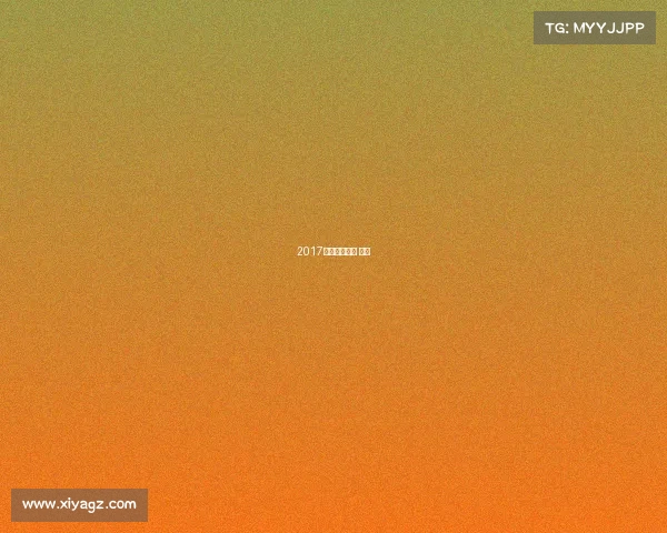 2017丁宁赛事丁宁 冠军